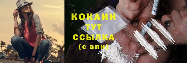 соль ск Алексин