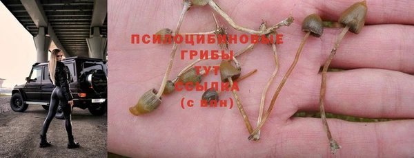 твердый Алексеевка