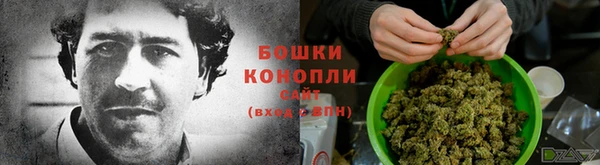 спиды Алзамай