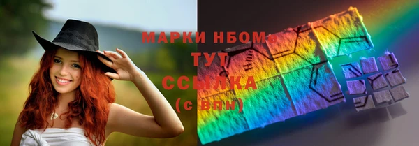 соль ск Алексин