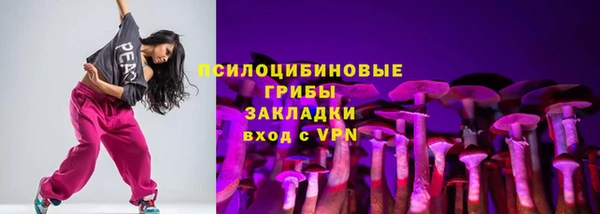 твердый Алексеевка