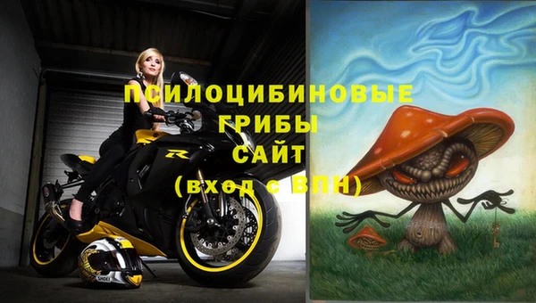 твердый Алексеевка